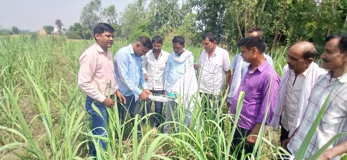 eganna